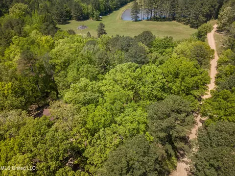 View/Area - 2432 Attala Rd, Kosciusko, MS 39090 photo 12 of 16