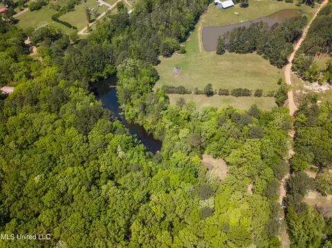 View/Area - 2432 Attala Rd, Kosciusko, MS 39090 photo 2 of 16