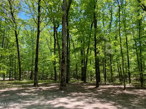 Exterior - 2432 Attala Rd, Kosciusko, MS 39090 photo 19 of 21