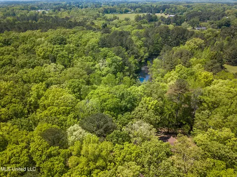 View/Area - 2432 Attala Rd, Kosciusko, MS 39090 photo 13 of 16