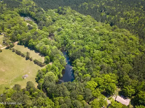 View/Area - 2432 Attala Rd, Kosciusko, MS 39090 photo 6 of 16