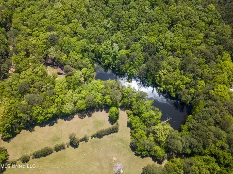 View/Area - 2432 Attala Rd, Kosciusko, MS 39090 photo 7 of 16