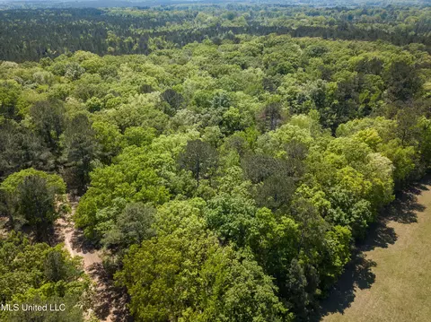 View/Area - 2432 Attala Rd, Kosciusko, MS 39090 photo 14 of 16