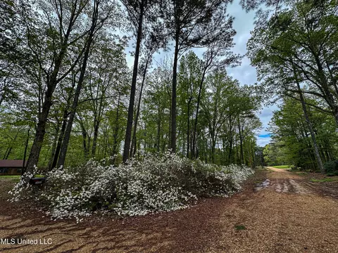 Exterior - 2432 Attala Rd, Kosciusko, MS 39090 photo 6 of 21