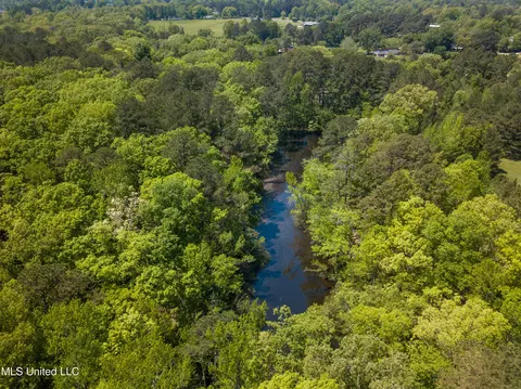 View/Area - 2432 Attala Rd, Kosciusko, MS 39090 photo 11 of 16