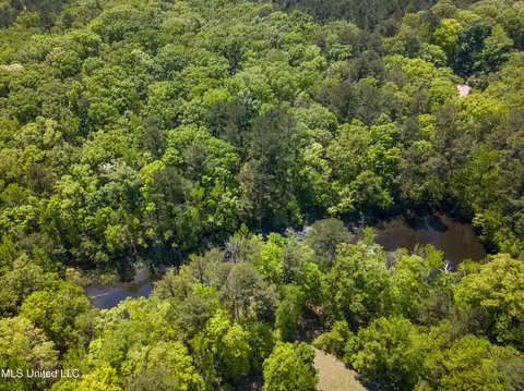 View/Area - 2432 Attala Rd, Kosciusko, MS 39090 photo 9 of 16