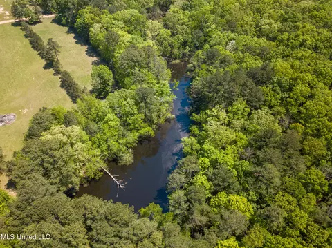 View/Area - 2432 Attala Rd, Kosciusko, MS 39090 photo 8 of 16