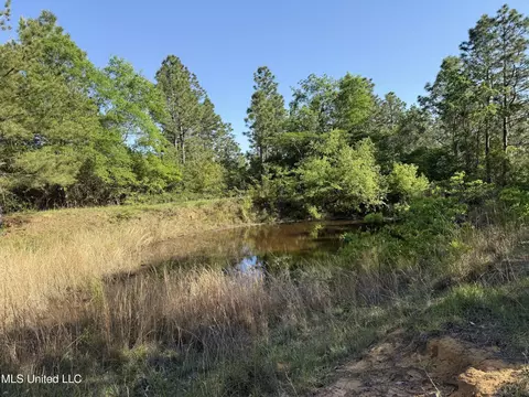 22241 Mcghee Dr, Saucier, MS 39574 photo 31
