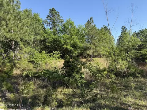 22241 Mcghee Dr, Saucier, MS 39574 photo 30