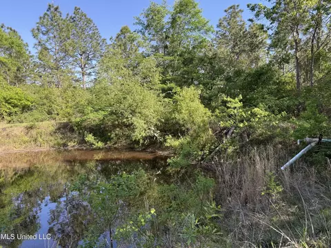 22241 Mcghee Dr, Saucier, MS 39574 photo 32