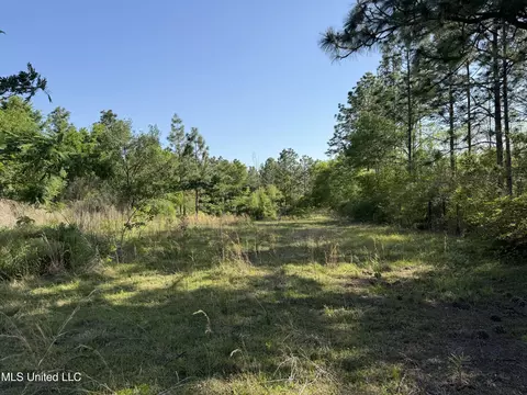 22241 Mcghee Dr, Saucier, MS 39574 photo 28