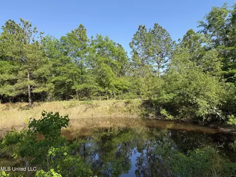 22241 Mcghee Dr, Saucier, MS 39574 photo 33