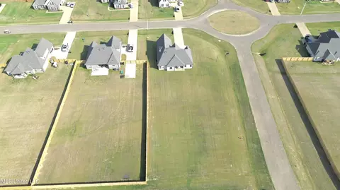 View/Area - 2375 Scott Meadows Ln, Hernando, MS 38632 photo 2 of 2
