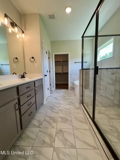 Bath - 2375 Scott Meadows Ln, Hernando, MS 38632 photo 1 of 5
