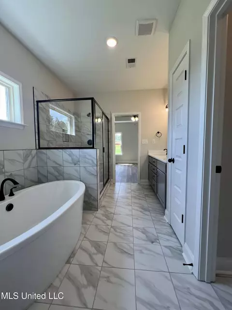 Bath - 2375 Scott Meadows Ln, Hernando, MS 38632 photo 2 of 5