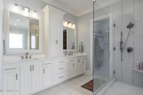 Bath - 133 Saddlebrook Cv, Madison, MS 39110 photo 5 of 8