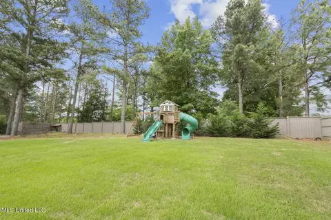 Exterior - 133 Saddlebrook Cv, Madison, MS 39110 photo 8 of 12