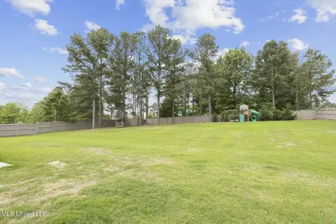 Exterior - 133 Saddlebrook Cv, Madison, MS 39110 photo 6 of 12