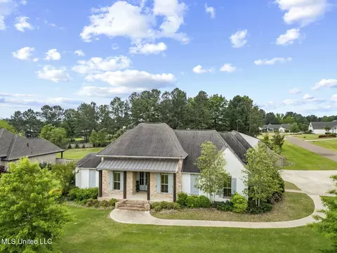 Exterior - 133 Saddlebrook Cv, Madison, MS 39110 photo 10 of 12