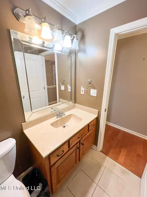 Bath - 785 W Fairway Pointe Cv, Hernando, MS 38632 photo 7 of 7