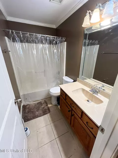 Bath - 785 W Fairway Pointe Cv, Hernando, MS 38632 photo 6 of 7