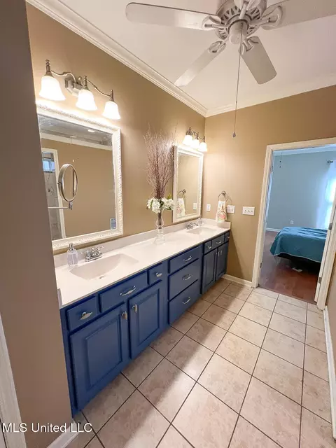 Bath - 785 W Fairway Pointe Cv, Hernando, MS 38632 photo 2 of 7