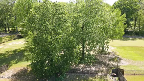 Other - 785 W Fairway Pointe Cv, Hernando, MS 38632 photo 12 of 12