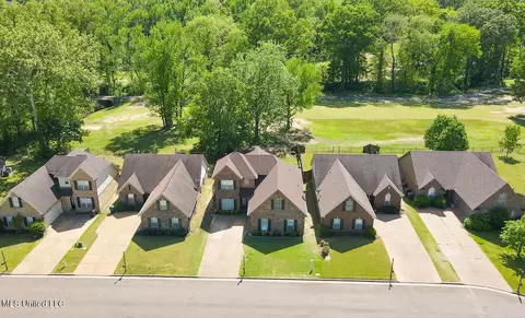 View/Area - 785 W Fairway Pointe Cv, Hernando, MS 38632 photo 2 of 2