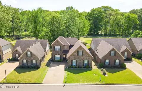 View/Area - 785 W Fairway Pointe Cv, Hernando, MS 38632 photo 1 of 2
