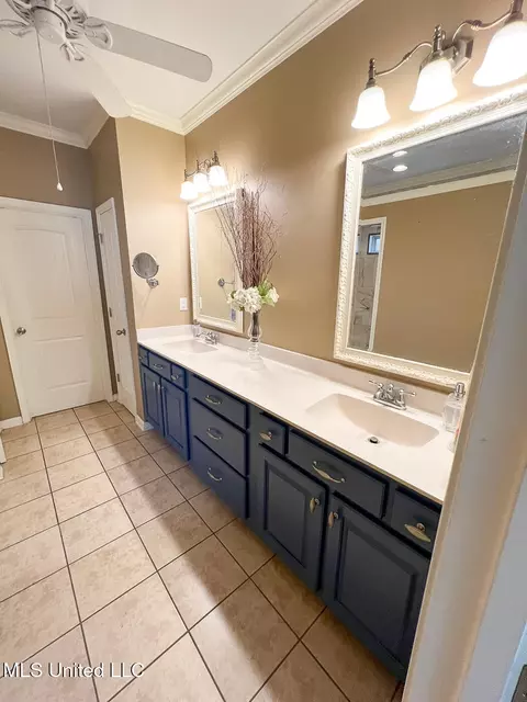 Bath - 785 W Fairway Pointe Cv, Hernando, MS 38632 photo 1 of 7