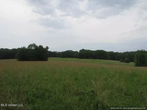 Vaughn Road, Vaughan, MS 39179 photo 4