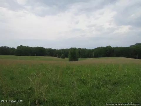 Vaughn Road, Vaughan, MS 39179 photo 3