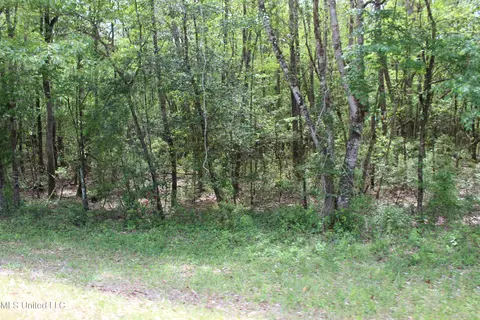 87 6 Acres Rousanville Rd, Leakesville, MS 39451