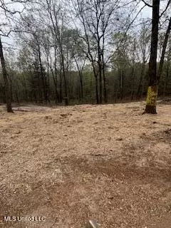 957 Roberson Ln, Batesville, MS 38606