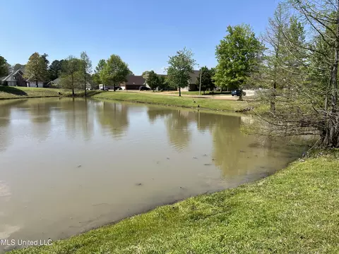 1390 E Lake Front Dr, Hernando, MS 38632 photo 24