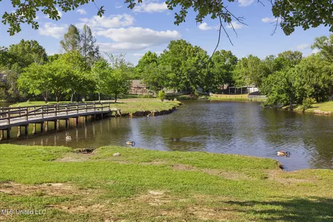 View/Area - 459 Brookstone Dr, Madison, MS 39110 photo 2 of 2