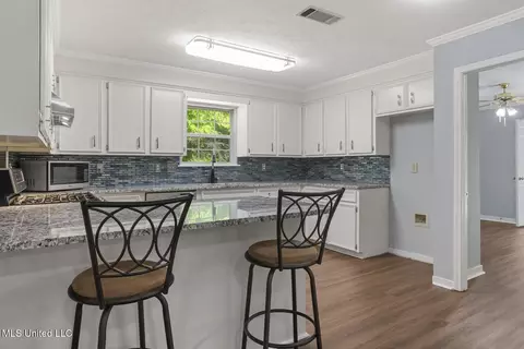 Other - 459 Brookstone Dr, Madison, MS 39110 photo 3 of 11