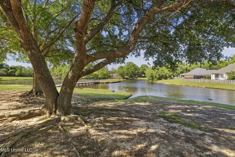 Other - 459 Brookstone Dr, Madison, MS 39110 photo 10 of 11