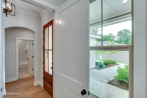 Entry Way - 316 Celadon Way, Brandon, MS 39042 photo 2 of 3