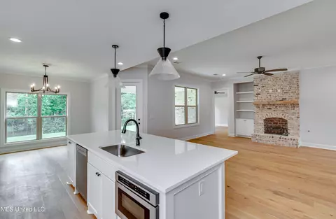 Other - 316 Celadon Way, Brandon, MS 39042 photo 4 of 12