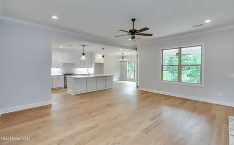 Living - 316 Celadon Way, Brandon, MS 39042 photo 1 of 5