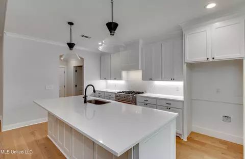 Kitchen - 316 Celadon Way, Brandon, MS 39042 photo 2 of 3