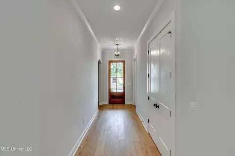 Entry Way - 316 Celadon Way, Brandon, MS 39042 photo 3 of 3