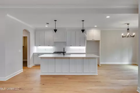 Kitchen - 316 Celadon Way, Brandon, MS 39042 photo 1 of 3