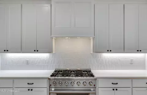 Kitchen - 316 Celadon Way, Brandon, MS 39042 photo 3 of 3