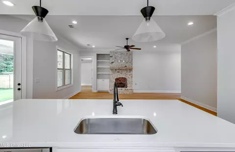 Other - 316 Celadon Way, Brandon, MS 39042 photo 5 of 12
