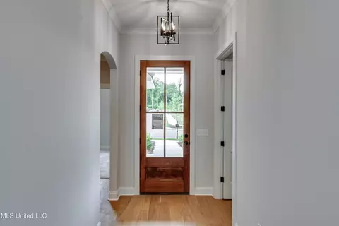 Entry Way - 316 Celadon Way, Brandon, MS 39042 photo 1 of 3