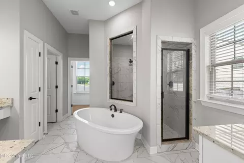 Bath - 3470 Delaney Dr, Nesbit, MS 38651 photo 1 of 4