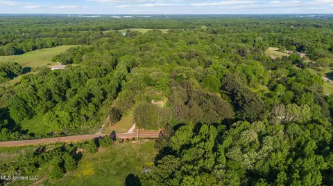 View/Area - 3196 N Fogg Rd, Nesbit, MS 38651 photo 2 of 6