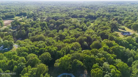 View/Area - 3196 N Fogg Rd, Nesbit, MS 38651 photo 1 of 6